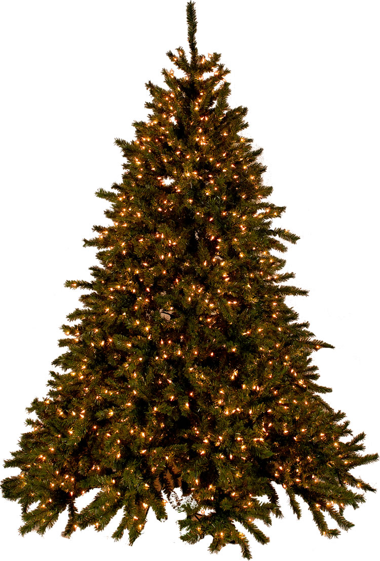 tree tree