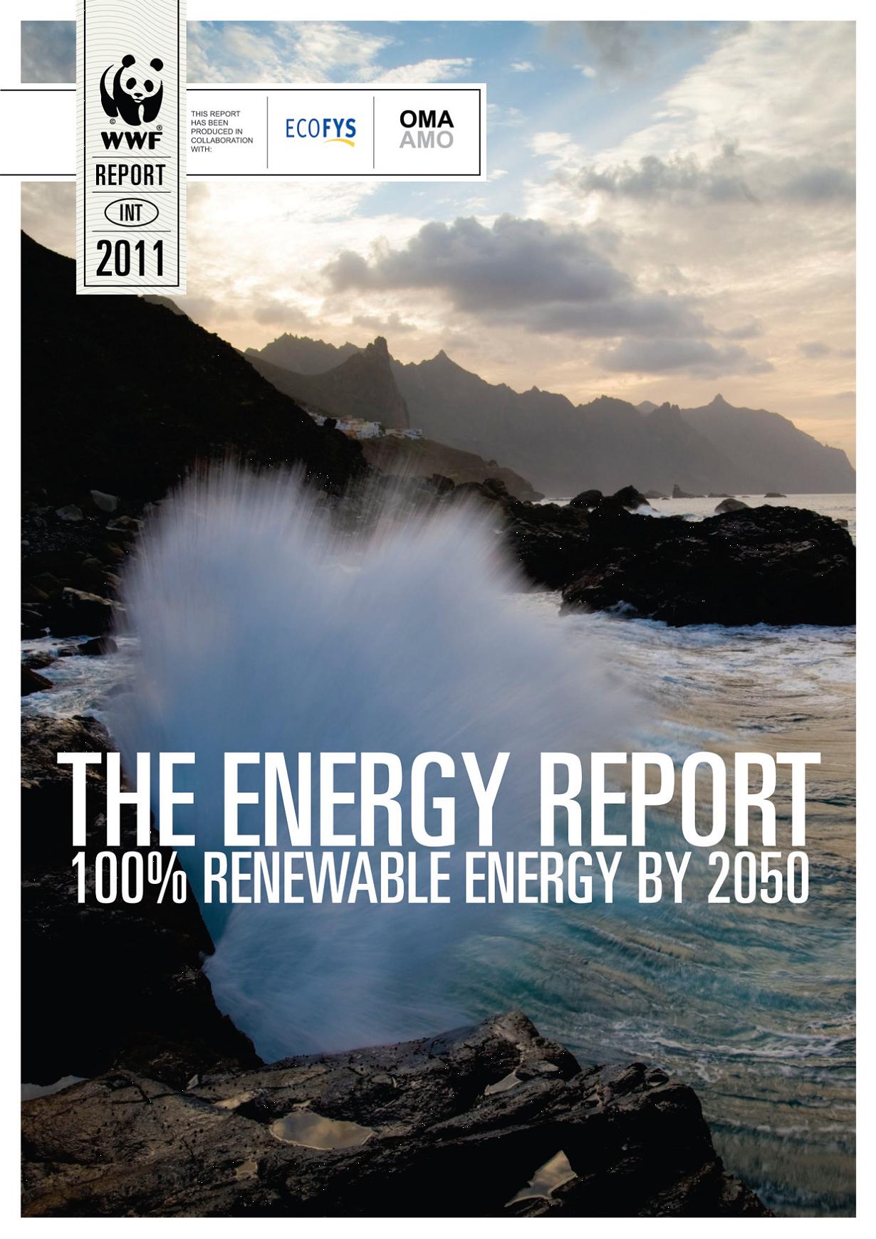 The Energy Report